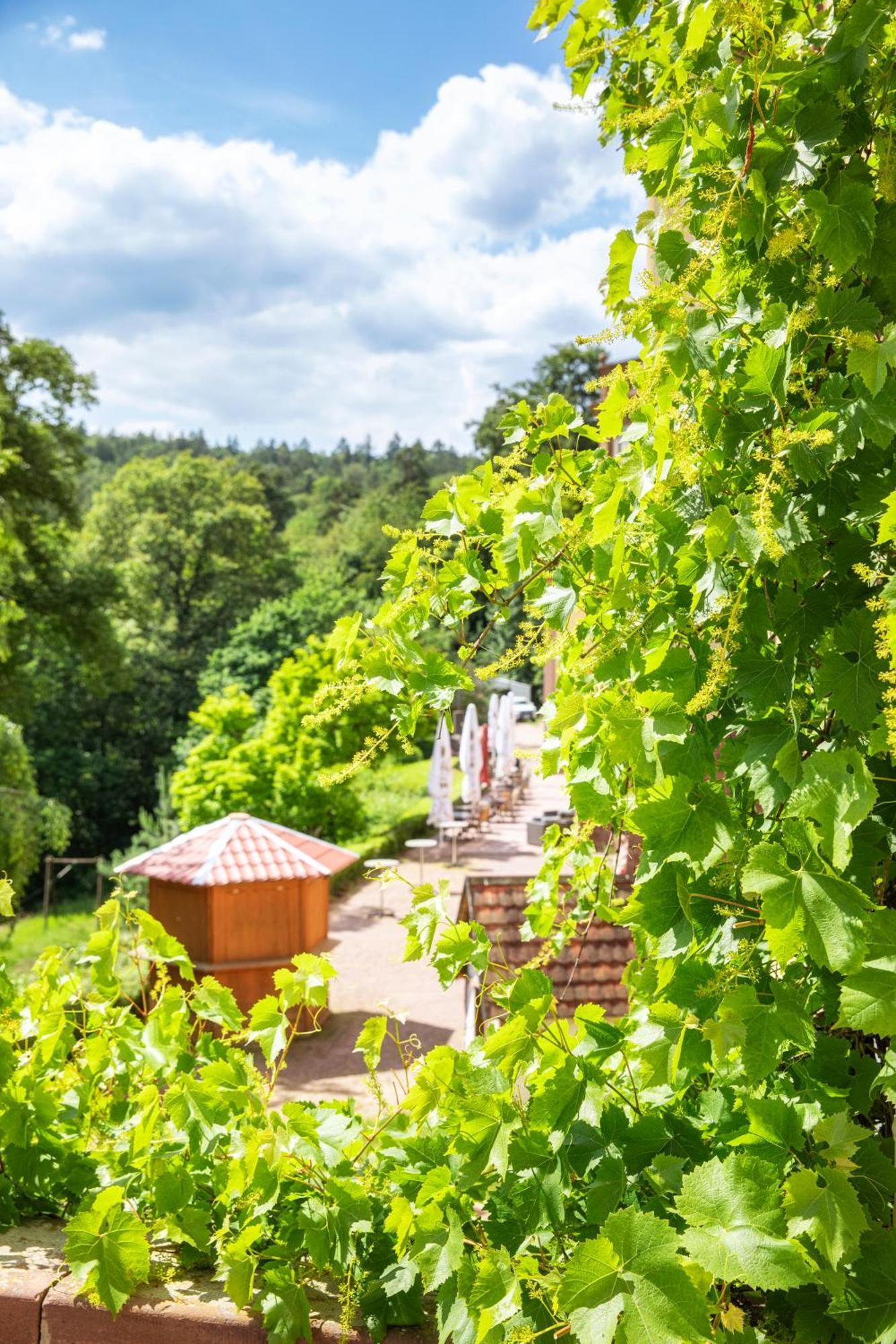 Roomingtons Hotel Franziskushoehe Lohr ภายนอก รูปภาพ
